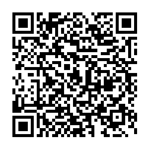 哈哈……原来你是一直把我当成和那小丫头的双修对象了……其实二维码生成