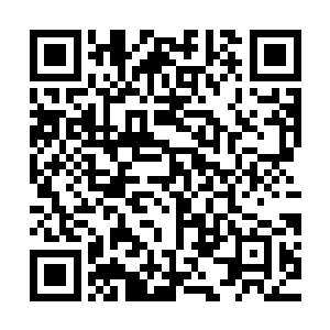 哈哈……我太蠢了……我们都太蠢了……哈哈……哈哈哈哈……二维码生成