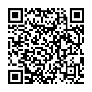 哈哈哈……千金小姐又怎么可能会沦落到我们墨家村做一个村妇二维码生成