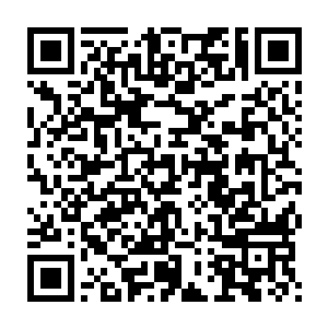 哎呀我一听我丈母娘开柜子蹦出来好几个耗子我现在都紧张啊……二维码生成