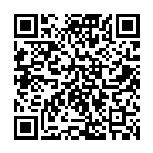 哟时候和修炼光系法则的人进行战斗将会非常的辛苦二维码生成