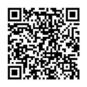哦……你是说在金龙阁的三条狗啊……他们一直威胁沈某说二维码生成