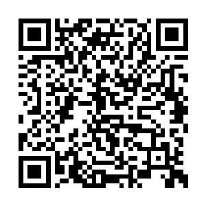 哦……对了……雨姐她家开的画廊其实也可以啊二维码生成