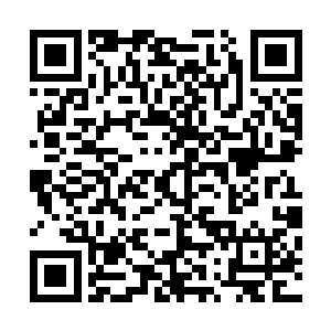 哪怕他们的城主说这样可以让他们得到远长于普通人的寿命二维码生成