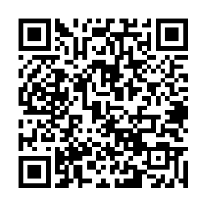 哪怕他是为了从易鹏飞手中得到李荣叶的犯罪证据二维码生成