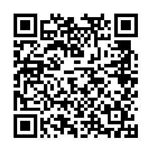 哪怕他根本没从印度金刚狼的身上找寻到什么破绽二维码生成