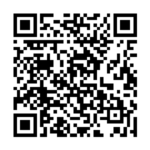 哪怕是他平时最为尊敬的蔡姐开口哀求他也不去理会二维码生成