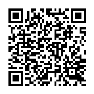 哪怕是以他如今的权限也没资格从系统那里得到全部的答案二维码生成