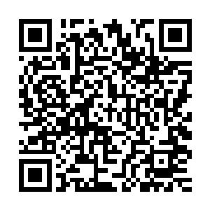 哪怕是全盛时期的嗜血兽皇面对天雷珠也绝对不敢有丝毫的小觑二维码生成