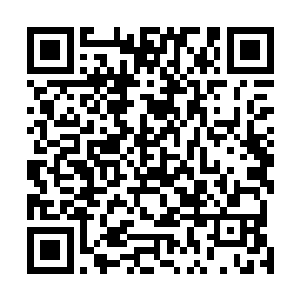 哪怕是想要把张潇晗拱上水域域主以至于九域域主的宝座二维码生成