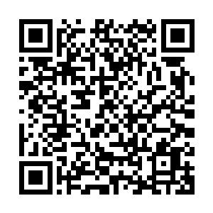 哪怕是神界的古神顶峰甚至大帝境界高手见到的话恐怕都会眼红二维码生成