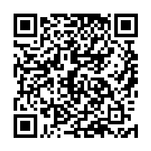 哪怕是被寄生翼虫寄生的三阶强体系异能者也无法抵挡一击二维码生成