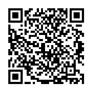 哪怕是这个慈善晚宴已经配备了很高档次的安检设备了二维码生成