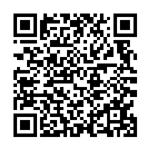 哪怕是锋锐如虎魄刀此刻也无法完全穿透了龙龟王的龟甲二维码生成