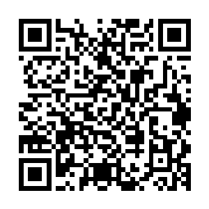哪怕是黑铁之堡里的爱德华也没有办法给自己提供更多的帮助二维码生成