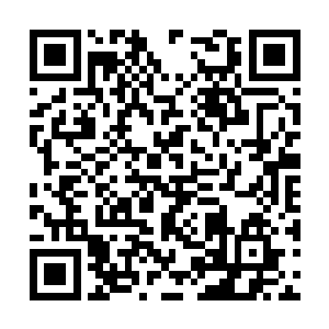 哪怕此刻楚旬等人如今对付的这个蛊皇才刚刚诞生二维码生成