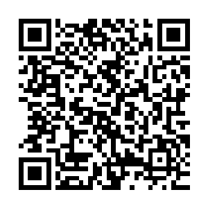 哪怕这是所有玄水巨蟒追求的至高目标……可现实是非常残酷的二维码生成