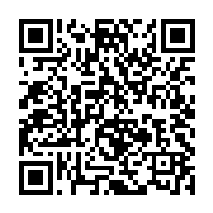 哪怕这木吒是界主强者也不可能如此轻易就将其击破二维码生成