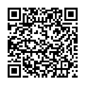 哪有把他们屁股下的位置留给自己手下老人酬功划算二维码生成