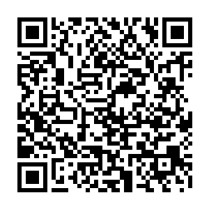 哪里像是什么传说中的墓冢之地倒不如将其说是一方镇压陨落的古帝封印二维码生成