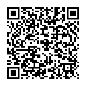 哪里还是当初苏落第一眼见到时那冰肌玉骨不食人间烟火的清冷模样二维码生成