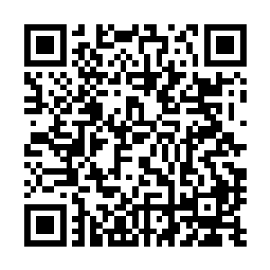 哼……你那浅薄的见识也就只能做出这种程度的推断了……二维码生成