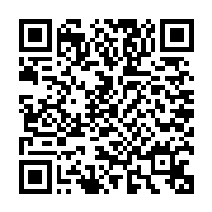哼既然你这么不放心那本公子陪你等到紫月公主醒过来又如何二维码生成