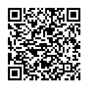 唉……我现在只期望……在我们完成这里的探索前二维码生成