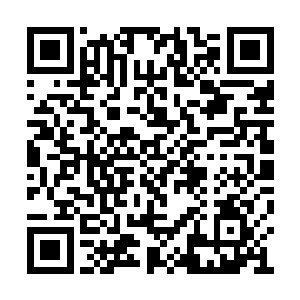 唐劫终于找到了对梅画屏这种存在的最有效用法二维码生成