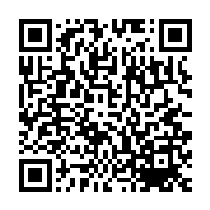 唐德和他讲述的所有骗子的故事和事迹在他脑海里飞快的闪过二维码生成