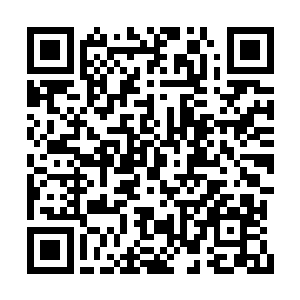 唐晓柔似乎也是推了我一小会后才将我给喊起来二维码生成