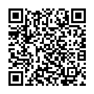 唯一一条信息说魔鬼花在特定的环境下会散发出味道二维码生成