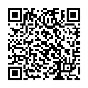 唯一不同的是凌风所变的狼和正常成年狼体型差不多二维码生成