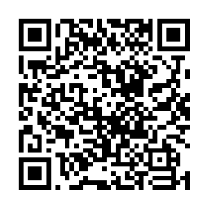 唯一拿得上台面的恐怕就是脚上那双异常结实的狼皮靴二维码生成