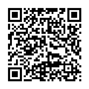 唯一的一门迫击炮有条不紊的发射携带的完六枚燃烧弹二维码生成