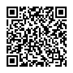 唯一的变化就是……生命牢笼似乎比之前更加强韧了二维码生成