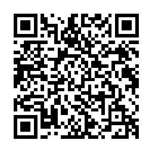 唯一的改变就是皇宫中已经不再是从前的那么冷冷清清的样子了二维码生成