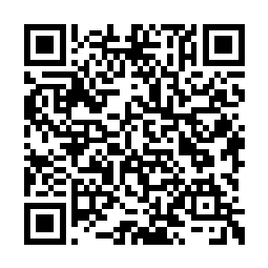 唯一的问题只在于夕残痕能在这追杀下支撑多久二维码生成