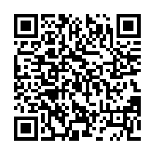 唯一缺少的估计就是被秦方整进了医院的陈世杰了……二维码生成