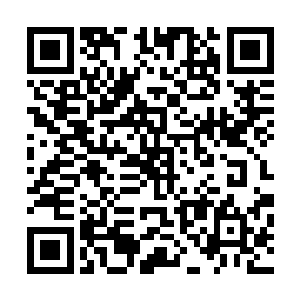 唯一认识个粗大腿现在还被自家这蠢到家的儿子给弄的毛了二维码生成