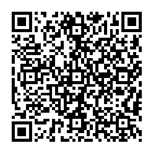 唯一让自己感觉有那么一些不太满意的就是自己的丈夫竟然把儿子给拽到医院那边去了二维码生成