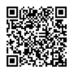 唯有地上的鲜血与狼狗尸体提醒着刚才发生的一切二维码生成