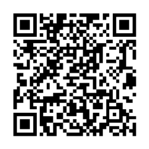 商会想要有代表性不可能将所有的非官方背景全部排除在外二维码生成