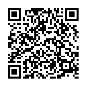 商会那边自然很快获得了苗毅已经成为了店里伙计的事情二维码生成