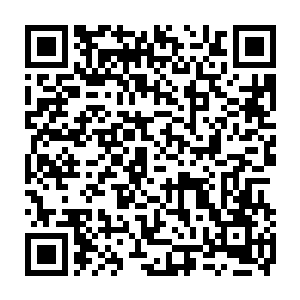 啊啊啊……痛……住手……呜呜……饶命……我错了……呜呜……我错了……二维码生成