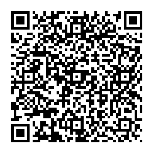 喂喂……这样搞法……小孩儿打架也能说得像华山论剑一样吧……一个熊孩子拉扯另外一个熊孩子二维码生成