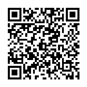 喵爷可是先后用了一百多条鱼才试验出来这种办法二维码生成