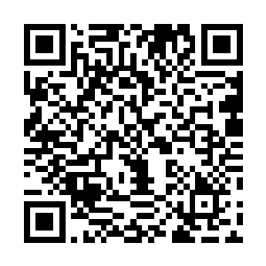 嗜血兽皇的身体根本就没有支撑多长时间就被轰成了焦炭二维码生成