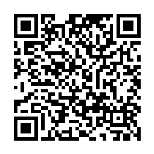 嗯……经历了数十次时间线重启所累积的数据吗……二维码生成