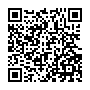 嘉瓦仁波切的办公室发表了详细明确的认证内容二维码生成